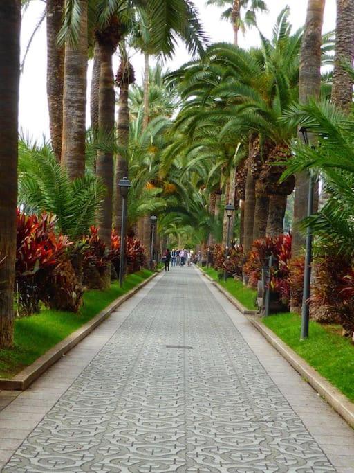 First Line Beach Apartment بويرتو ذي لا كروز المظهر الخارجي الصورة